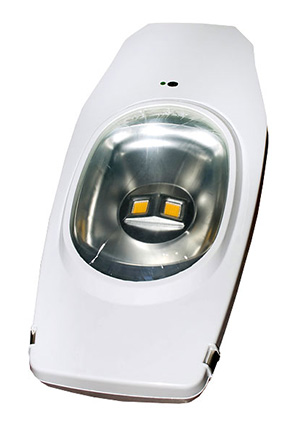 FER108, 2x50Вт 2700K Warm White уличный светильник светодиодный